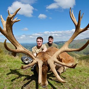 Hunt 367" Inch Red Stag in New Zealand