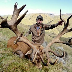 New Zealand Hunting Red Stag