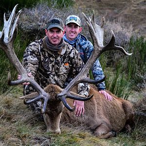 Hunting 368" Inch Red Stag in New Zealand