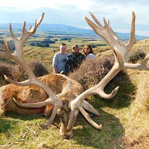 New Zealand Hunting 378" Inch Red Stag