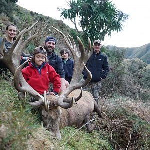 Red Stag Hunt New Zealand