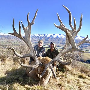 Hunting 420" Inch Red Stag in New Zealand