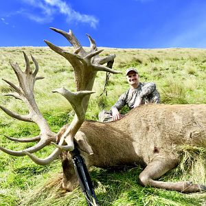 New Zealand Hunt 422" Inch Red Stag