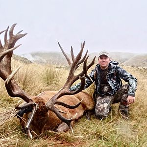 438" Inch Red Stag Hunt New Zealand