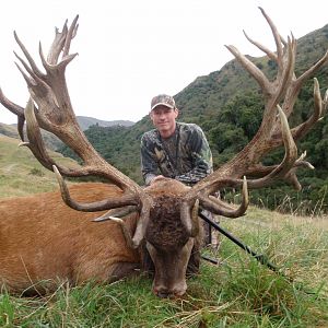 Red Stag Hunt New Zealand