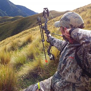 Bow Hunting in New Zealand