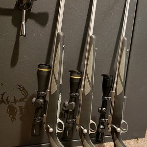 300WSM & Sako 85 Finnlight 243 Rifles