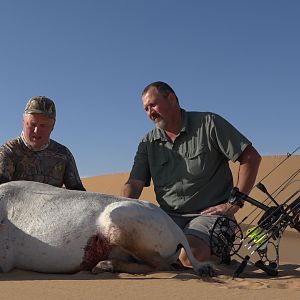 Arabian Oryx Bow Hunting United Arab Emirates