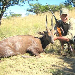 South Africa Hunting Bushbuck