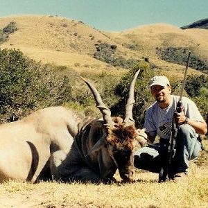 Eland Hunting South Africa