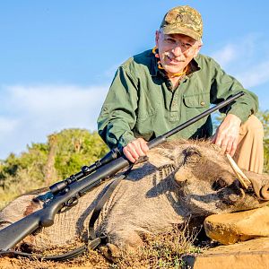 Hunting Warthog in South Africa