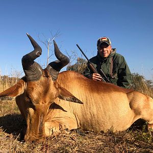 Hunting Lichtenstein's Hartebeest in Zambia