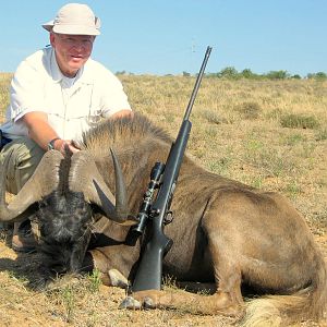 Black WIldebeest Hunting South Africa