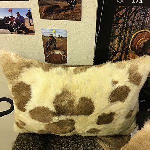 Painted Desert Sheep Pillow