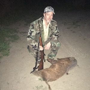 Hunting Feral Hog USA