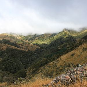 New Zealand Hunt