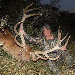 Red Stag Hunt New Zealand