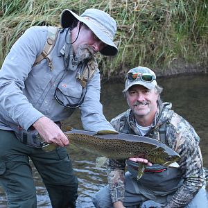 Brown Trout Fly Fishing New Zealand