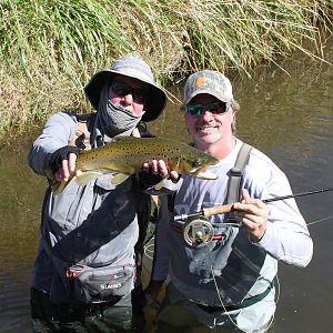 Fly Fishing Brown Trout New Zealand