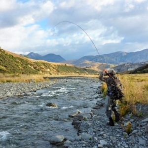 Fly Fishing Trout New Zealand