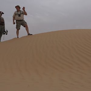 Tracking Mountain Gazelle United Arab Emirates