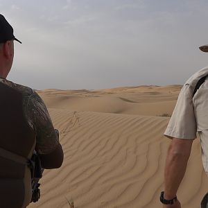 Tracking Mountain Gazelle United Arab Emirates