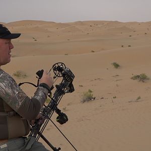 Tracking Mountain Gazelle United Arab Emirates