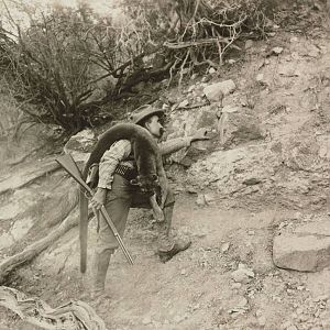 Hunting Cougar along the Mexican border 1910s