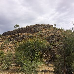 Namibia Hunt