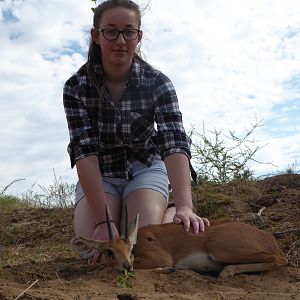 Steenbok Hunt Namibia