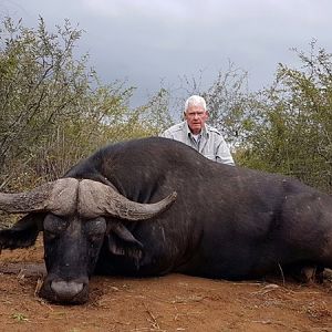 Hunting Buffalo in South Africa