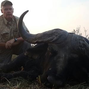 Cape Buffalo Hunt South Africa