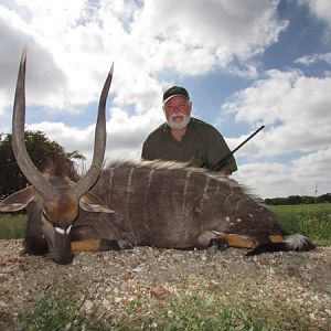 Nyala Hunting South Africa