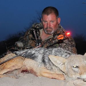 Jackal Bow Hunting South Africa