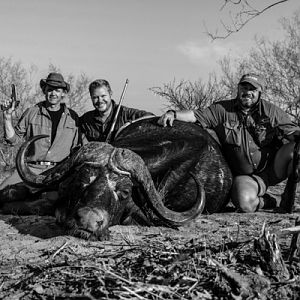 Pistol Hunting Cape Buffalo in South Africa