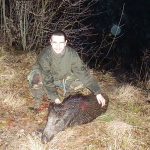 Wild Boar Hunt Italy
