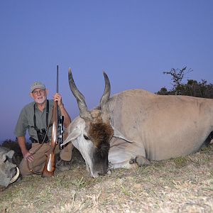 South Africa Hunting Warthog & Eland