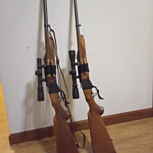 Two pairs of 375 Ruger with 300RCM