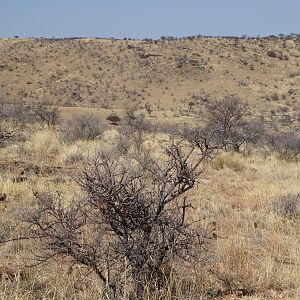 Hunting in Namibia