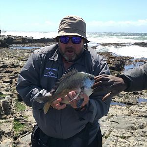 South Africa Fishing Bronze Bream Fish