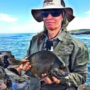 Bronze Bream Fish Fishing South Africa