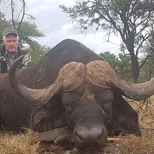 Buffalo Hunting South Africa