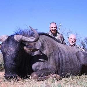 Hunting Blue Wildebeest in South Africa