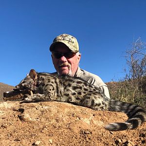 Hunt Genet Cat in South Africa