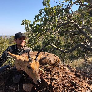 Mountain Reedbuck Hunting South Africa