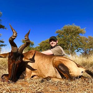 Hunting Red Hartebeest in South Africa