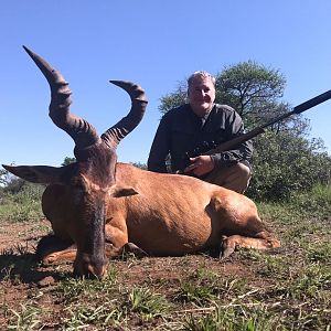 South Africa Hunt Red Hartebeest