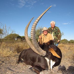 Sable Antelope Hunt South Africa