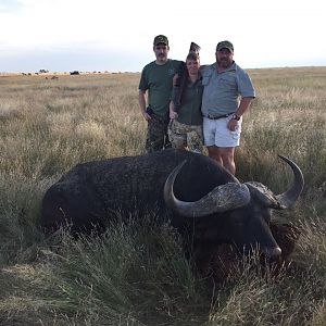 South Africa Hunt Cape Buffalo