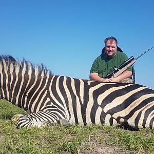 Burchell's Plain Zebra Hunt South Africa